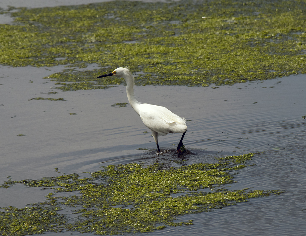 noegrets21024.jpg