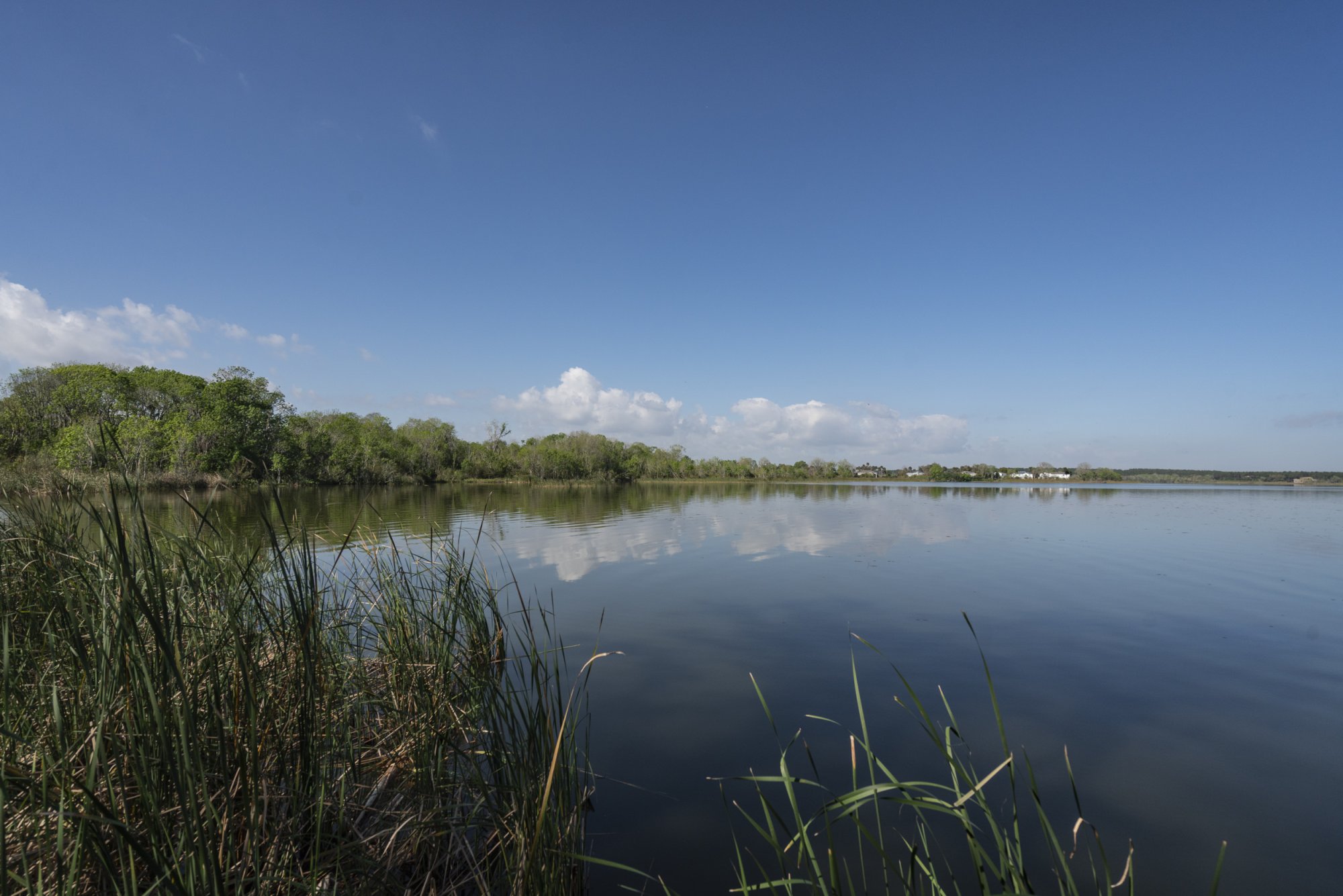 Oakland Preserve - 2500px-11.JPG