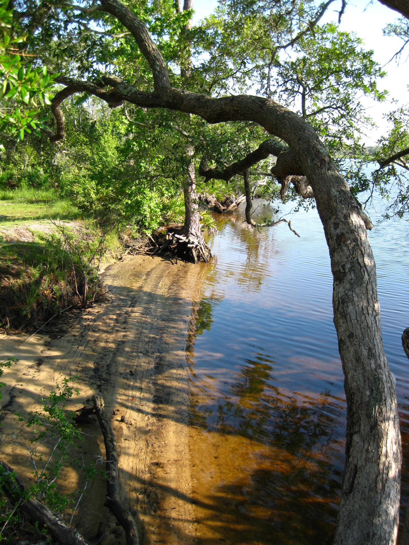 ochlockonee_state_park_river.jpeg