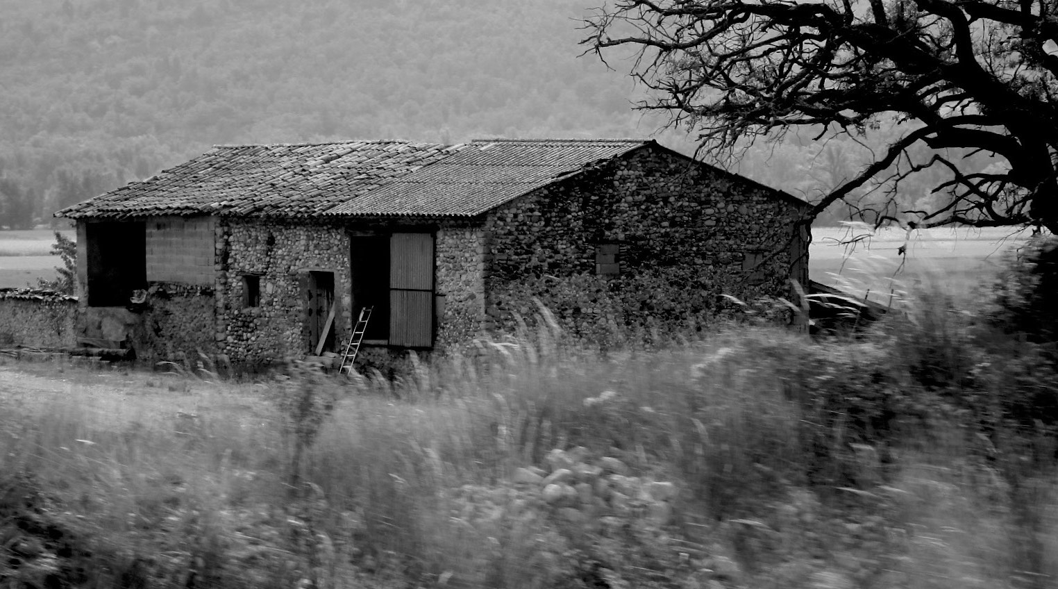 old building, Provence.jpg