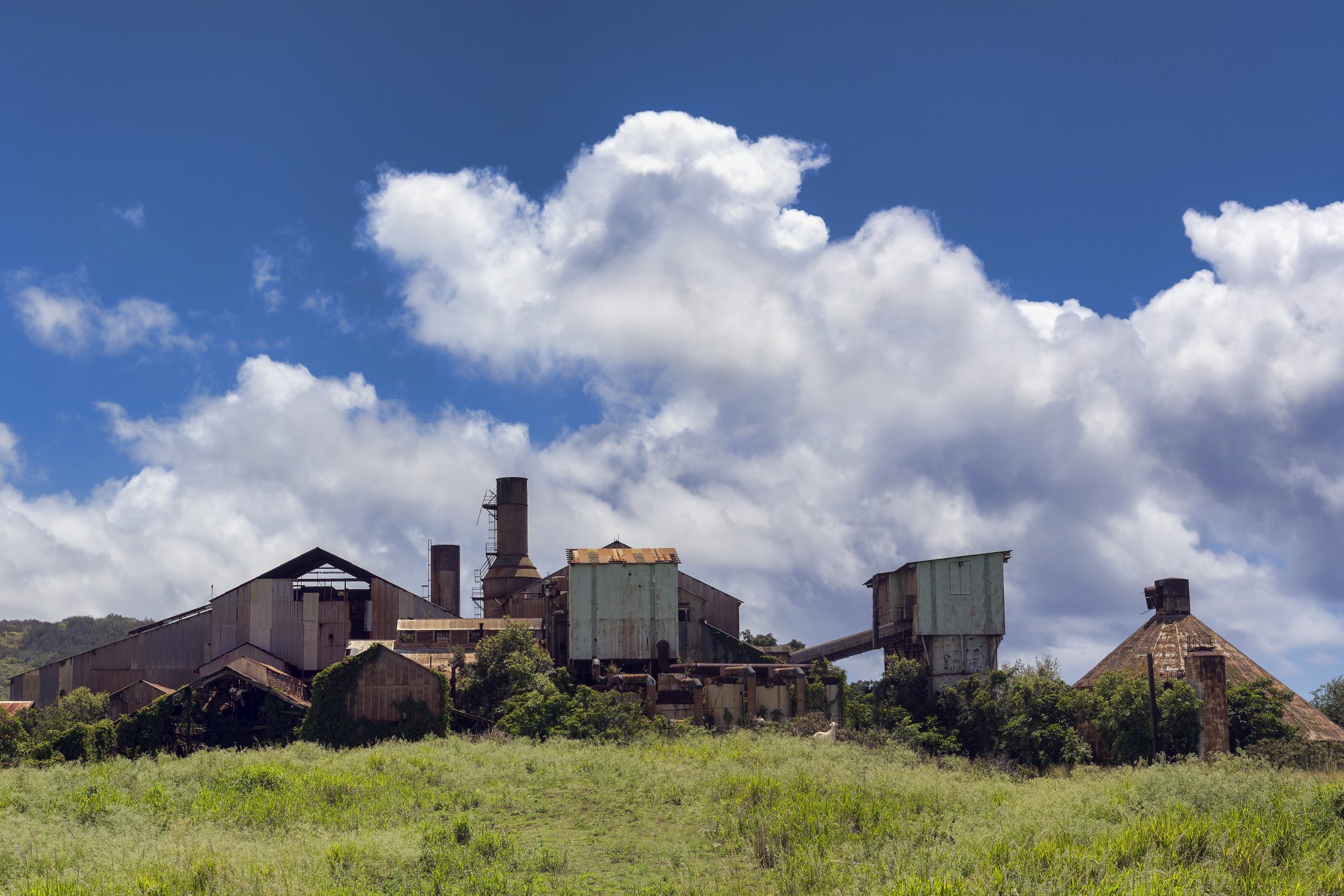 Old_Factory_Kauai_2017_3228.jpg