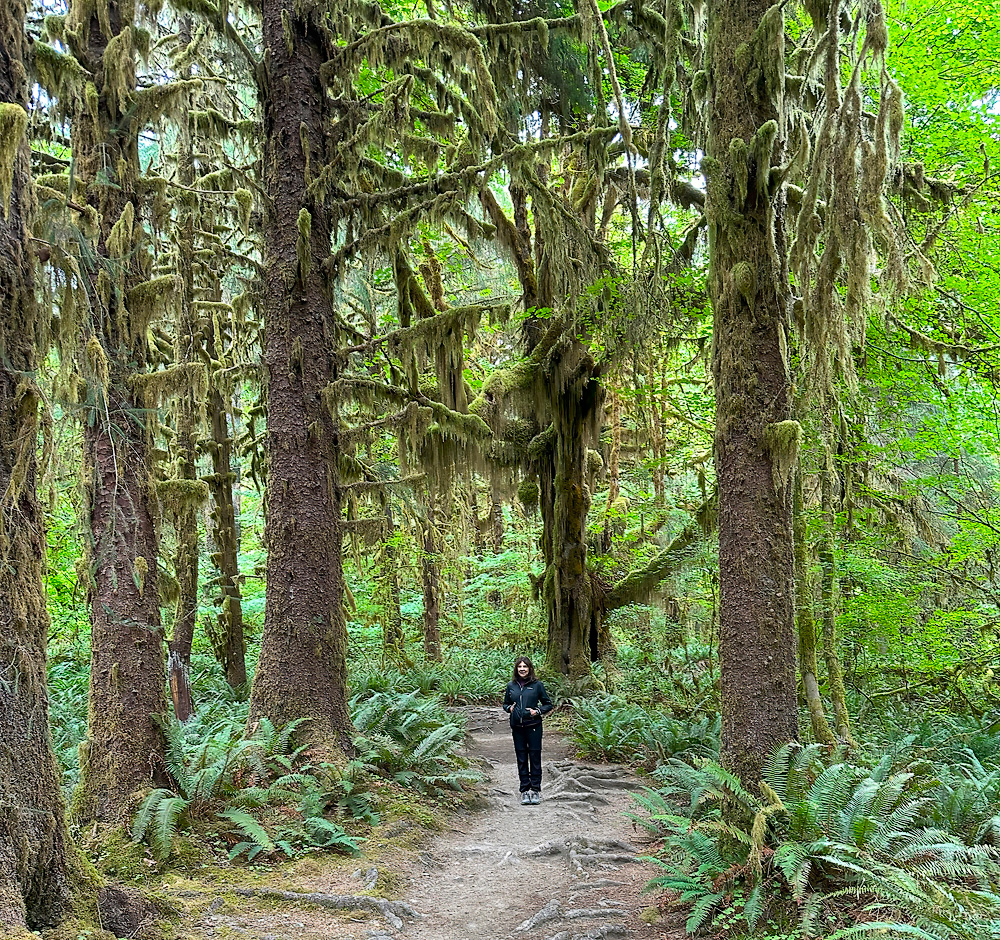 Olympic_Peninsula_1000p_50.jpg