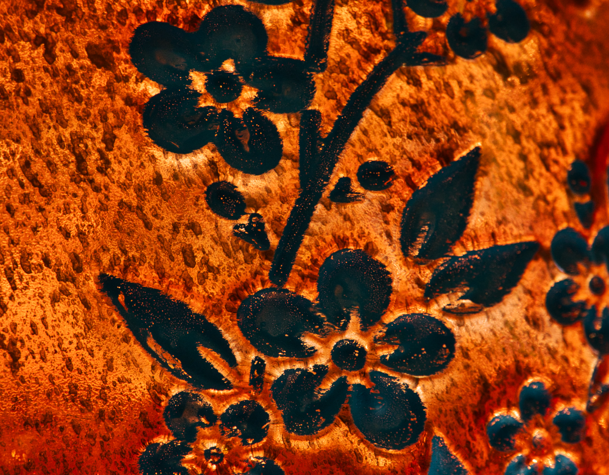 Orange and Black Flowers.jpeg