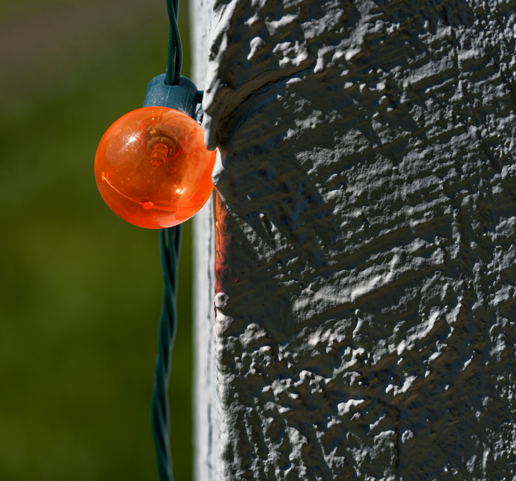 Orange Bulb in the Sunshine.jpeg