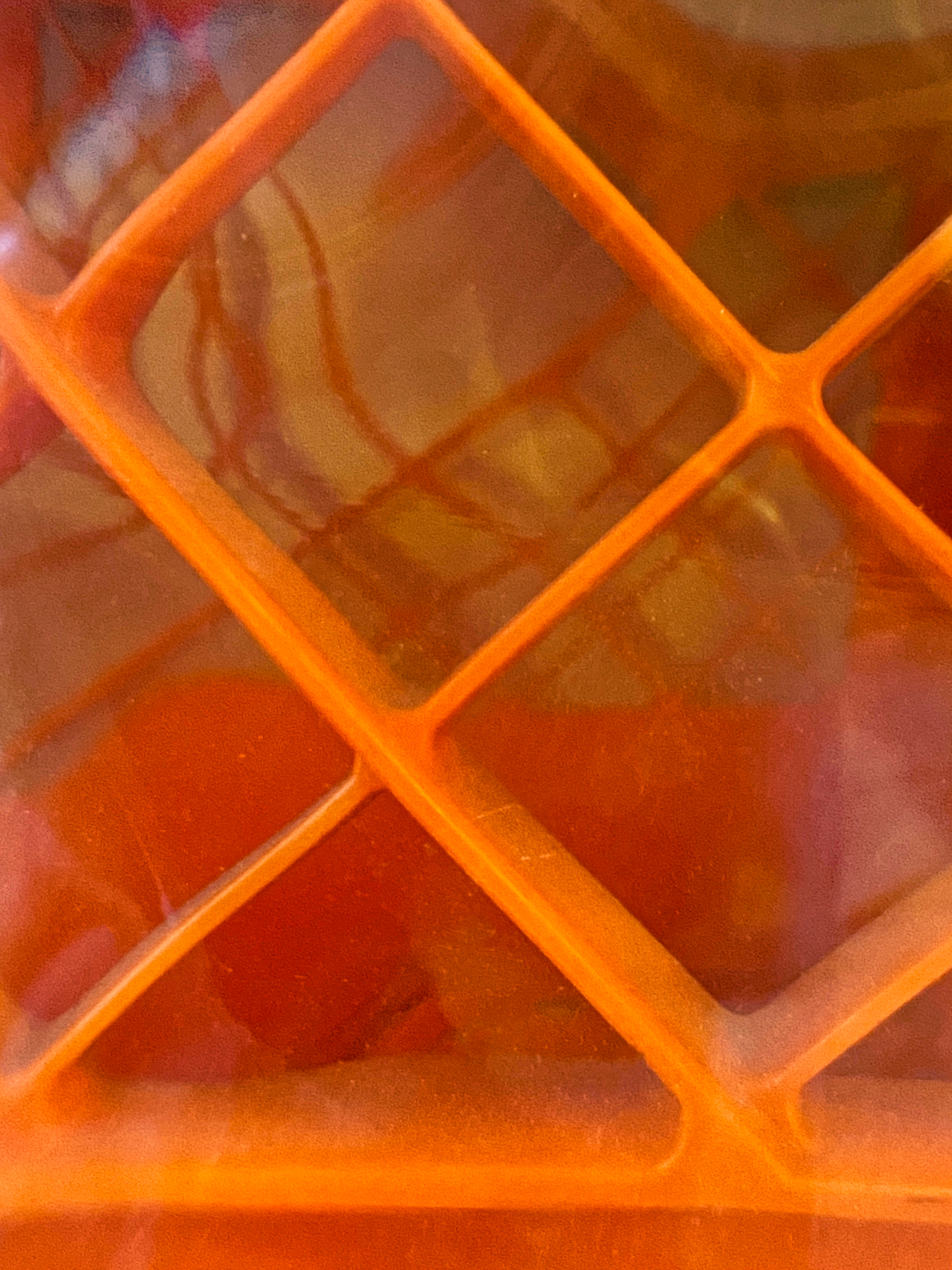 Orange  Captured in Glass.jpeg