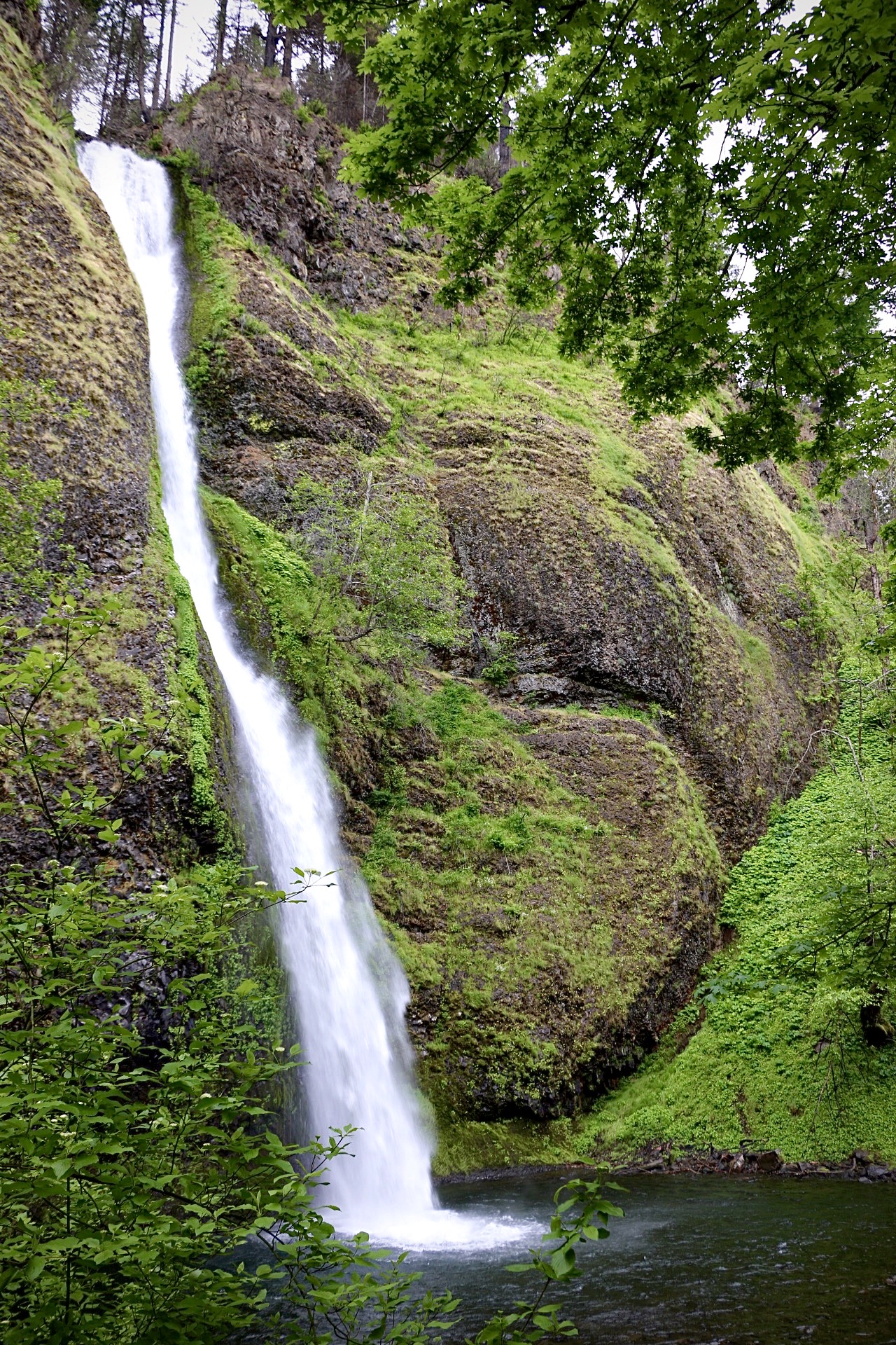 Oregon Waterfall.JPG