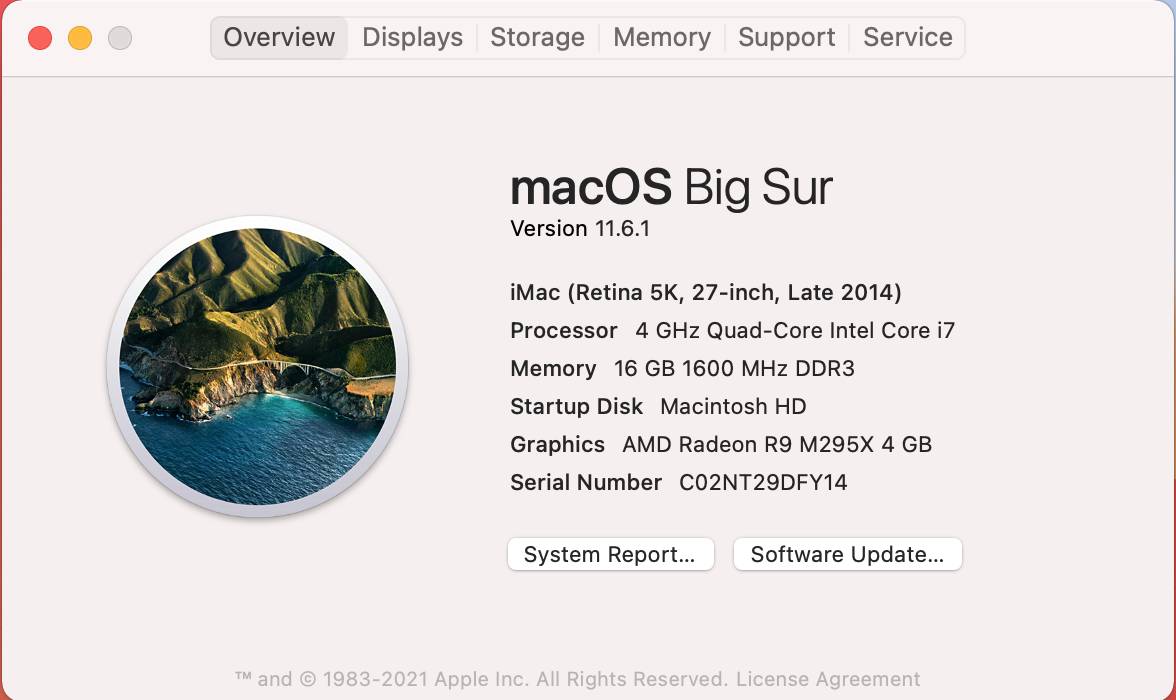 Overview Displays Storage Memory Support Service.jpg
