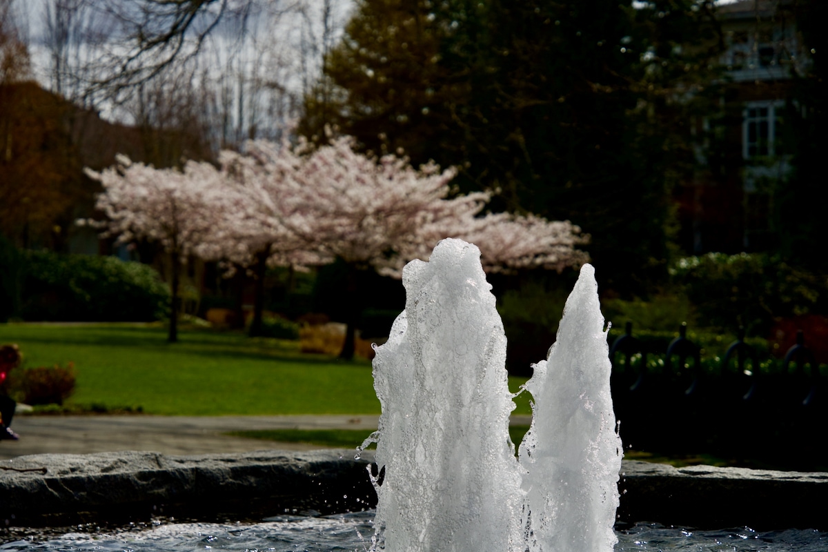 P.52 details Water fountain.jpeg