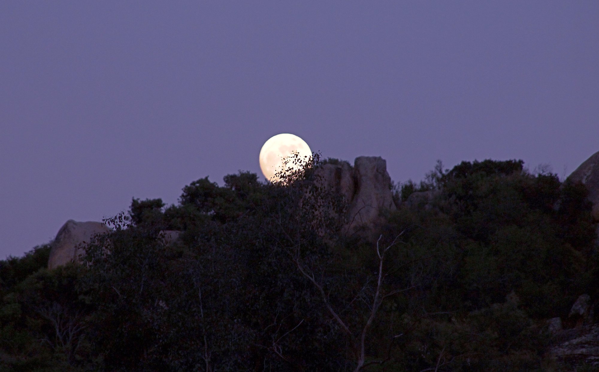 P1014340 xcrop2.jpg