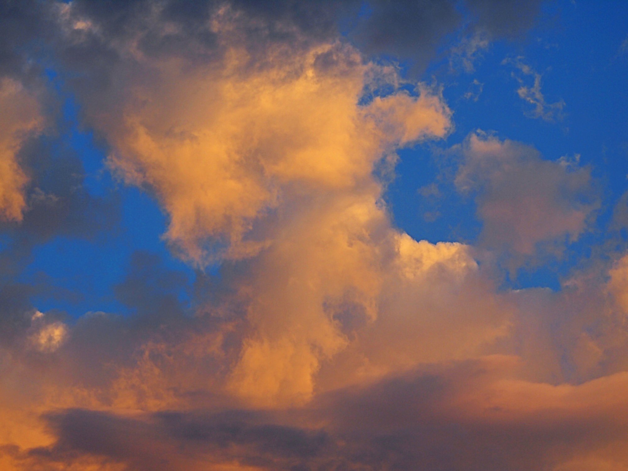 P1014461 x2.jpg