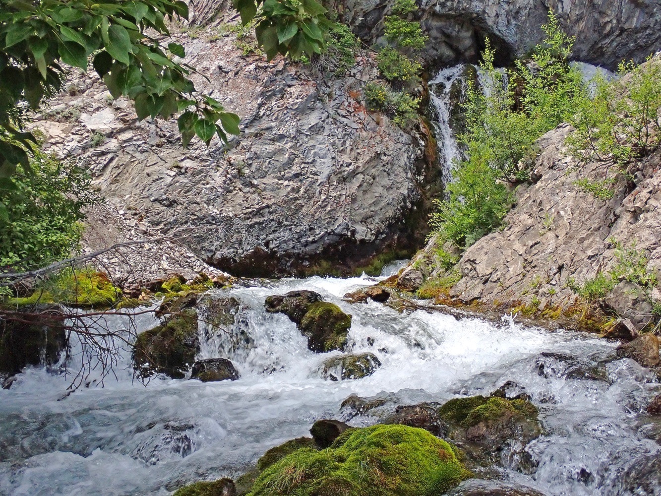 P7120108.jpg