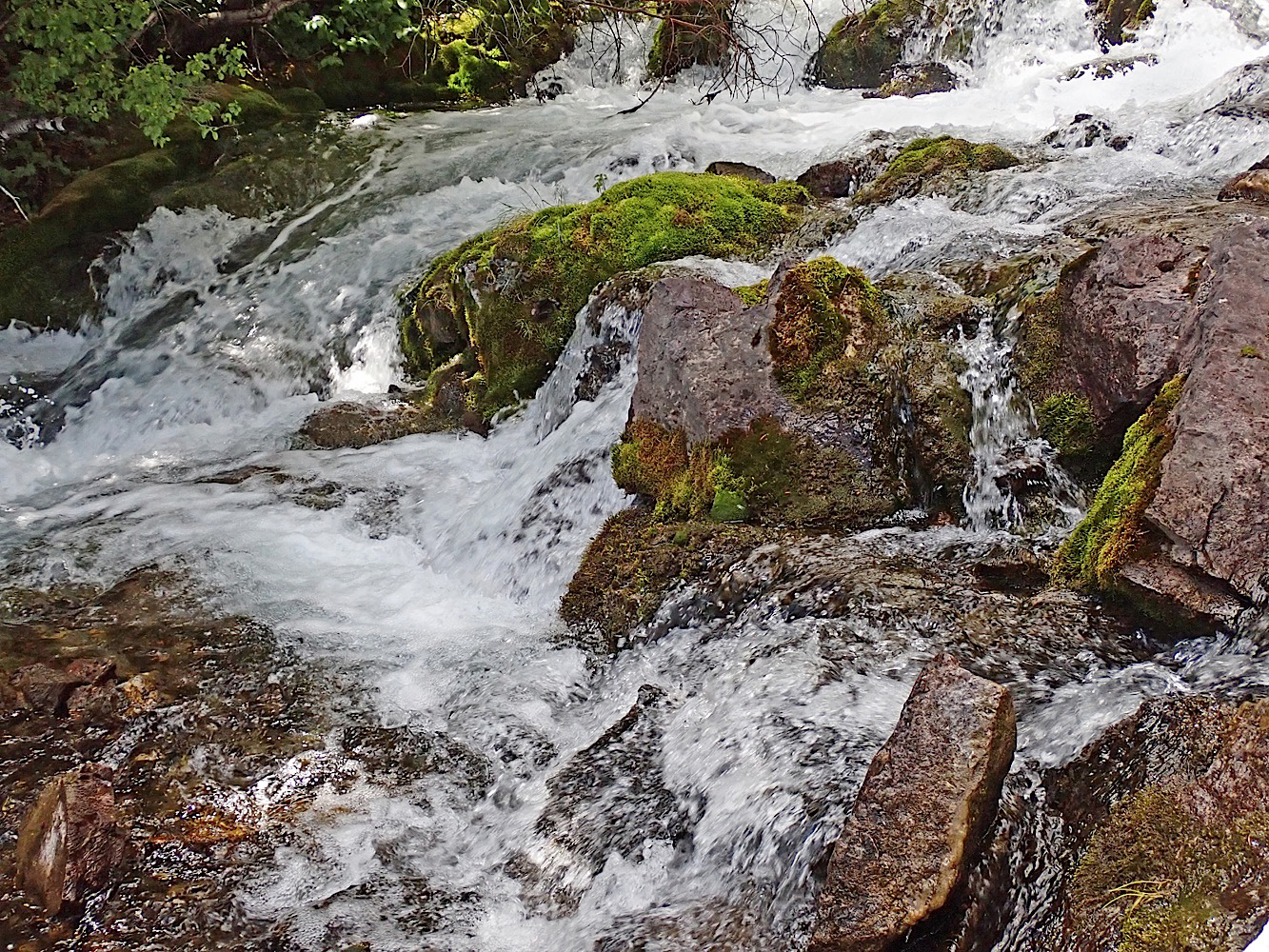 P7120119.jpg