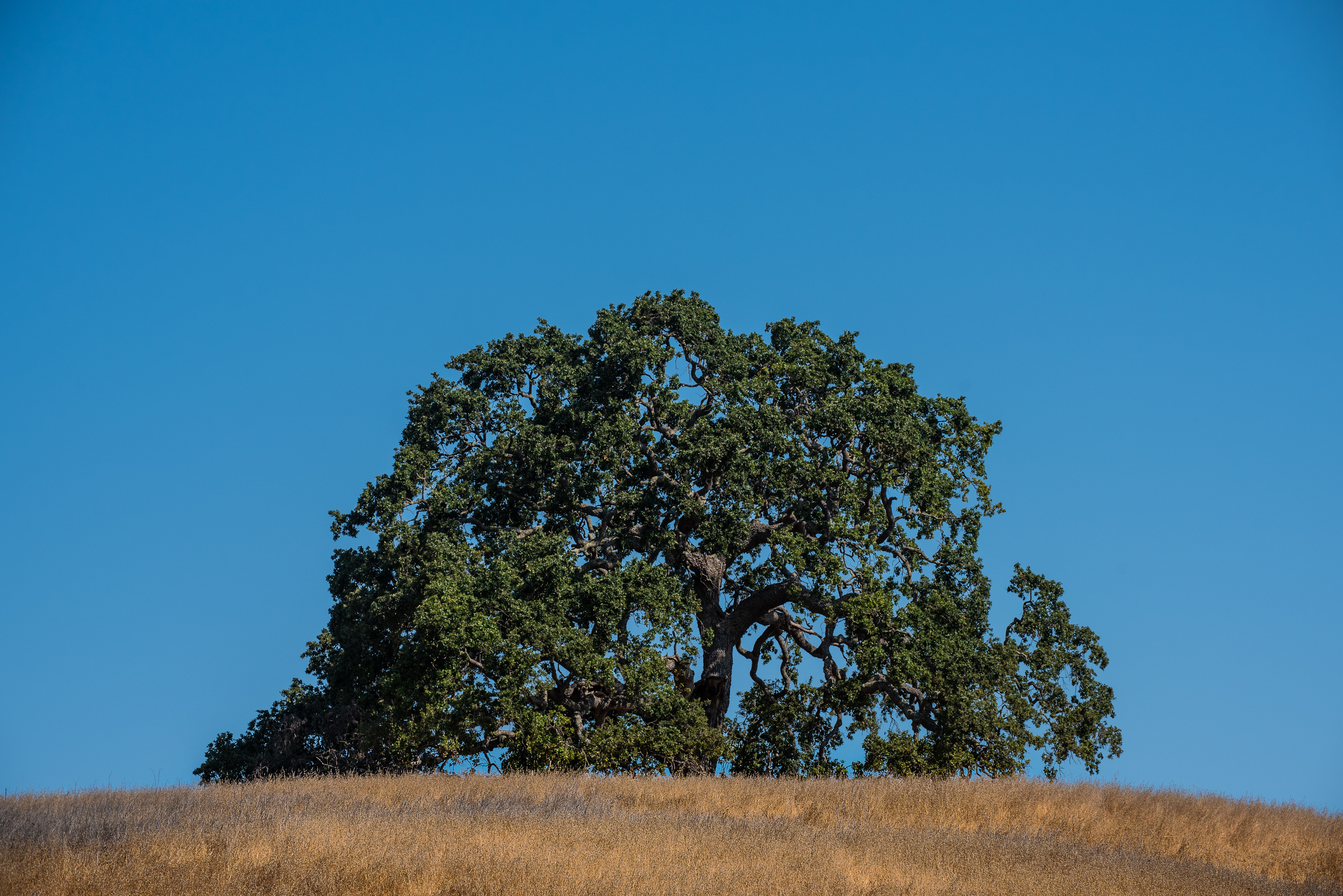 PA Preserve -20180902-22.jpg