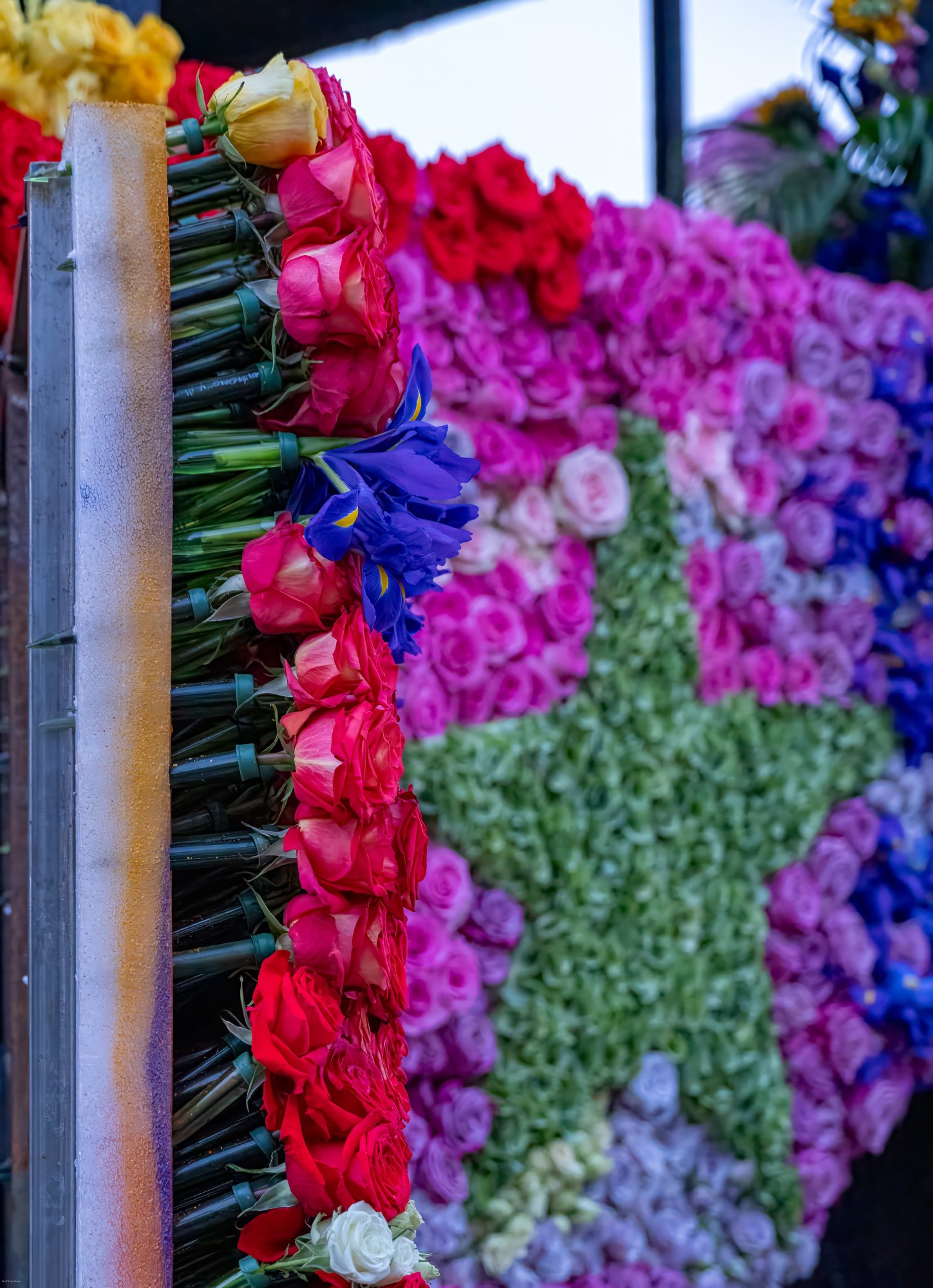 Parade Float Closeup.jpg