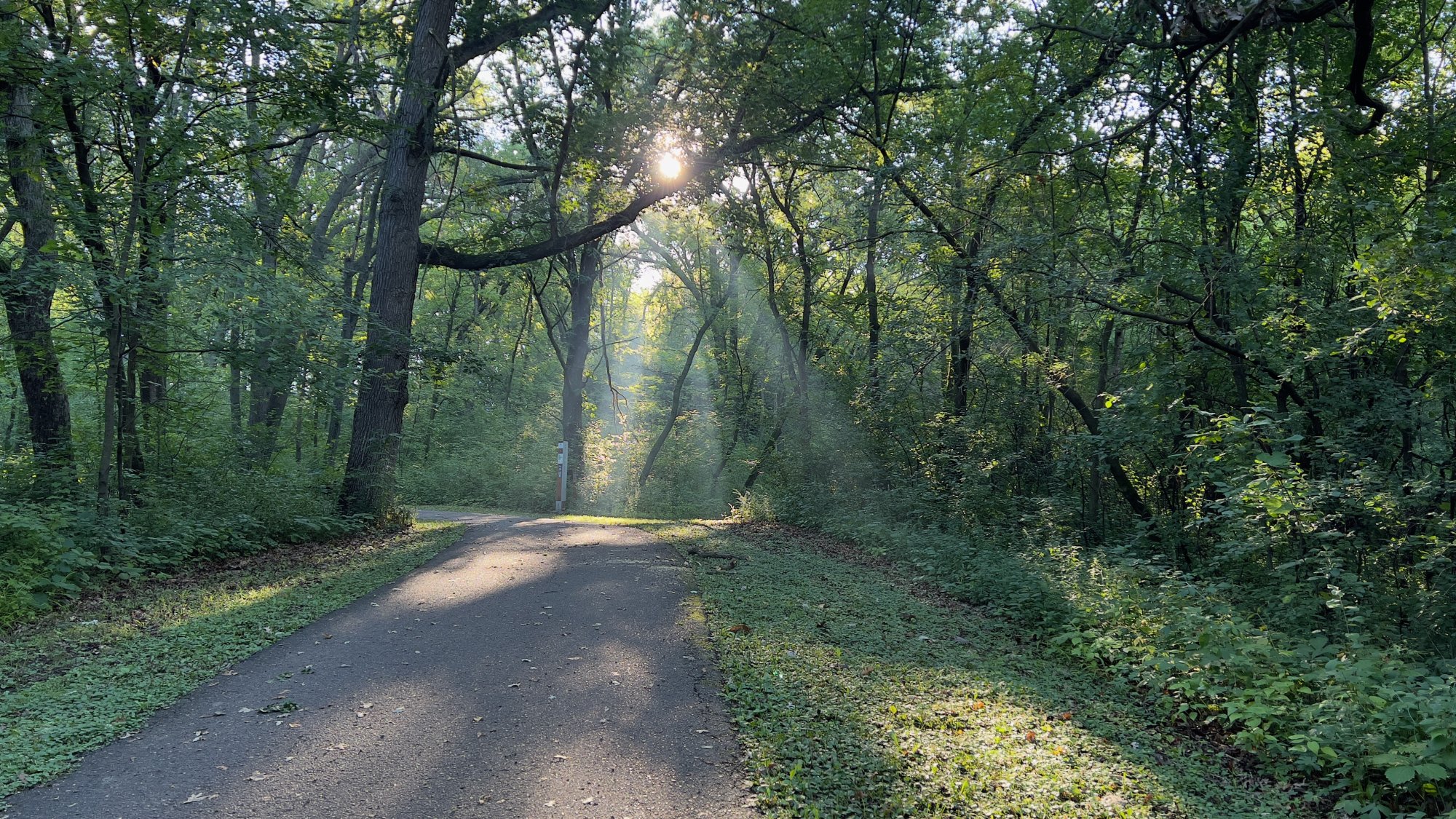 Park Trail.jpeg