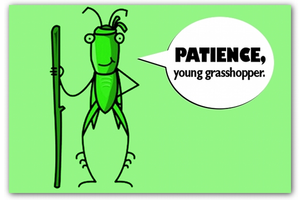 patience-young-grasshopper[1].jpg