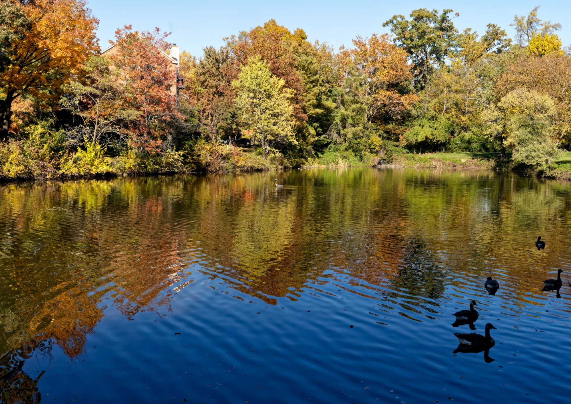 Peaceful Autumn Afternoon on the Lake.jpeg