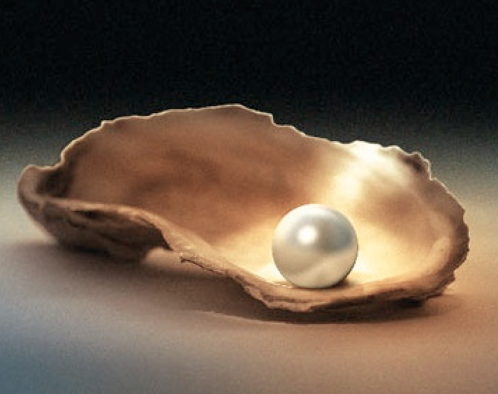 Pearl on Half Shell.png