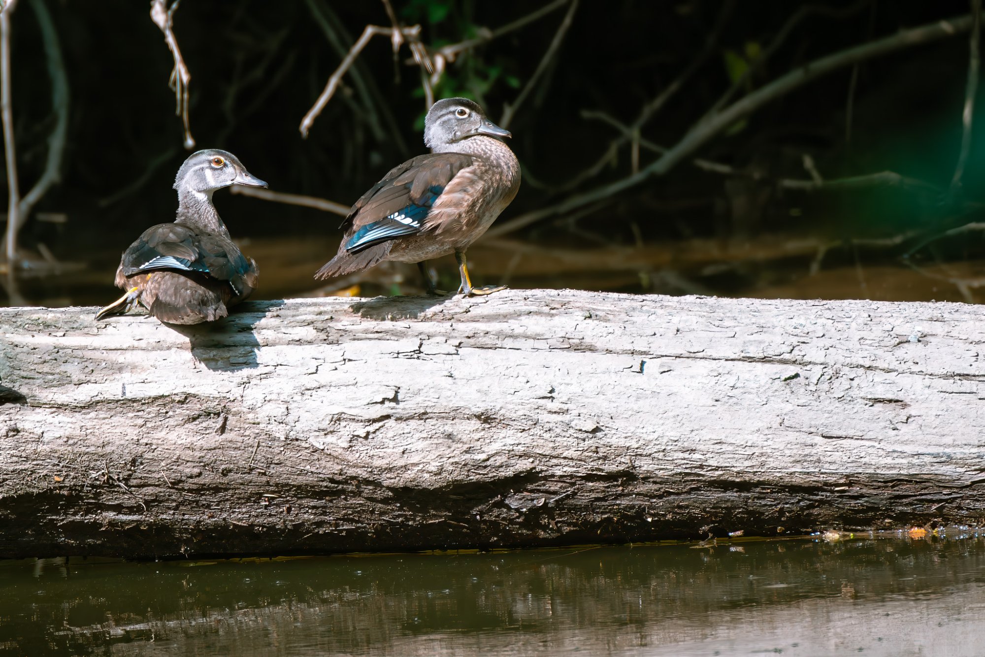 PEP07828-Edit-2.jpg