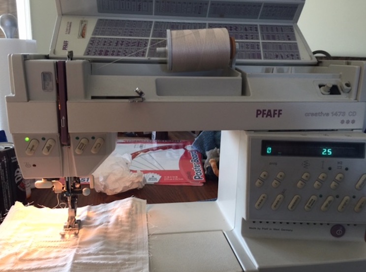 PfaffNewToMe1473Model.jpg