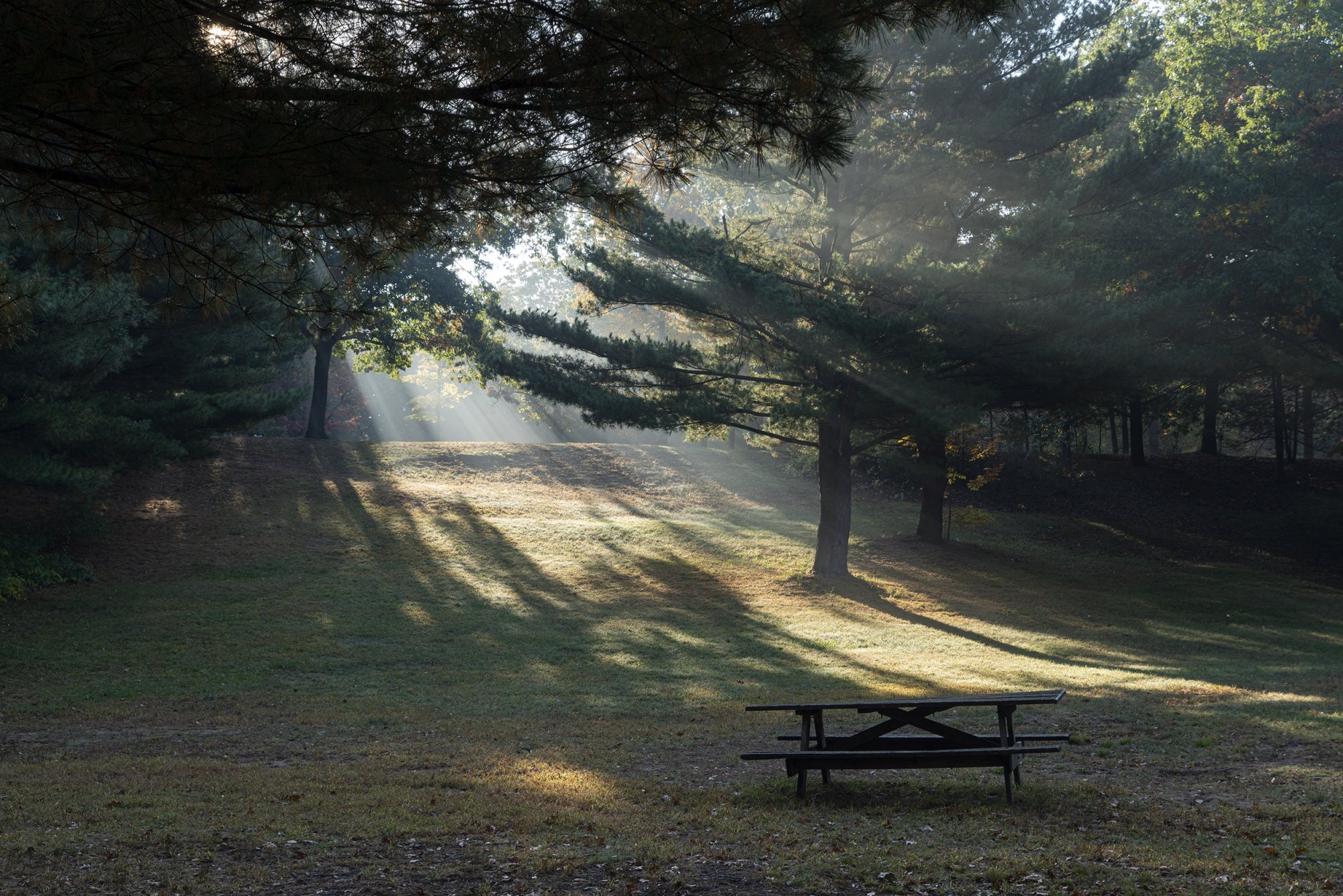 Picnic table light-2500px.jpg