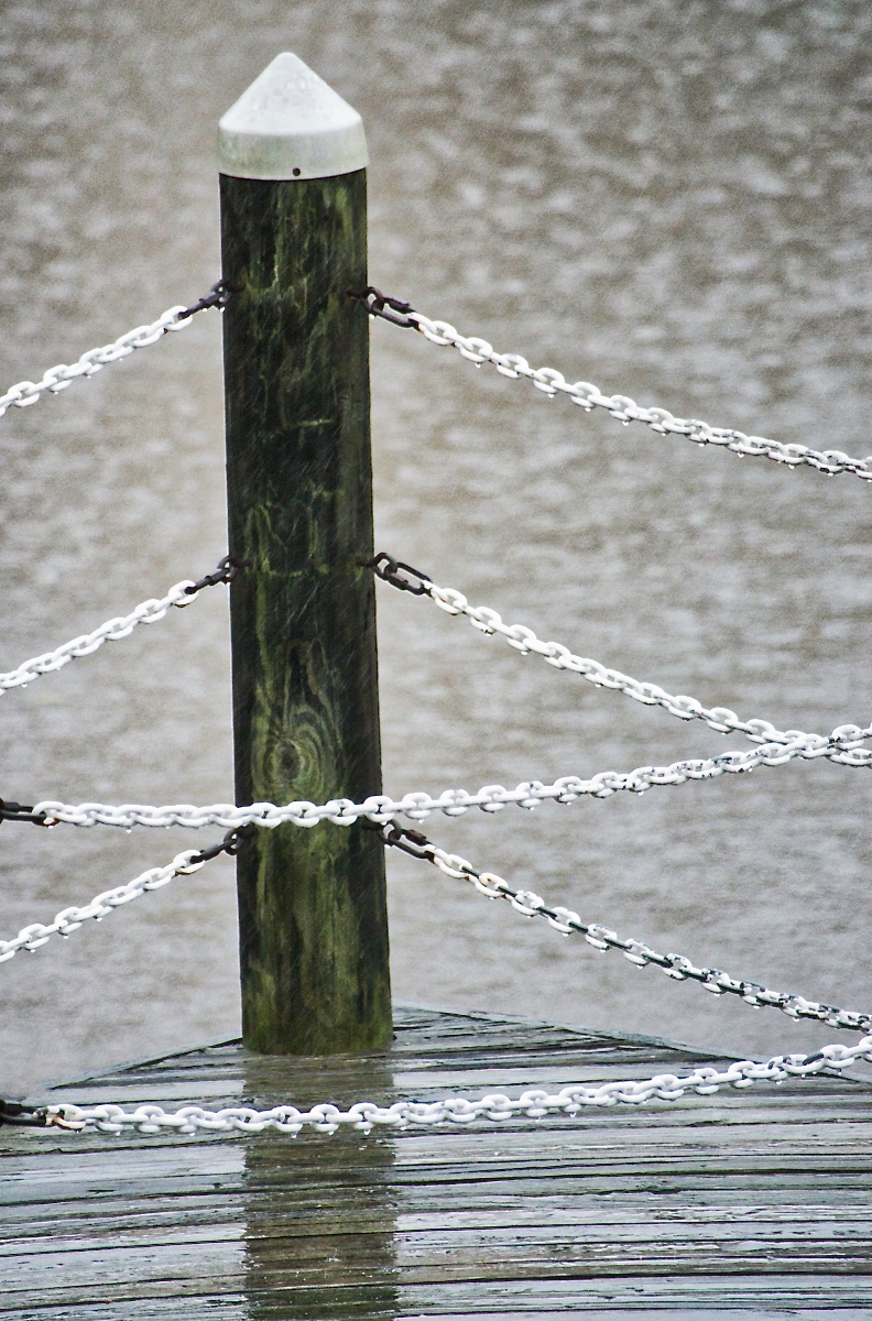 Pier Post in the Rain.jpg