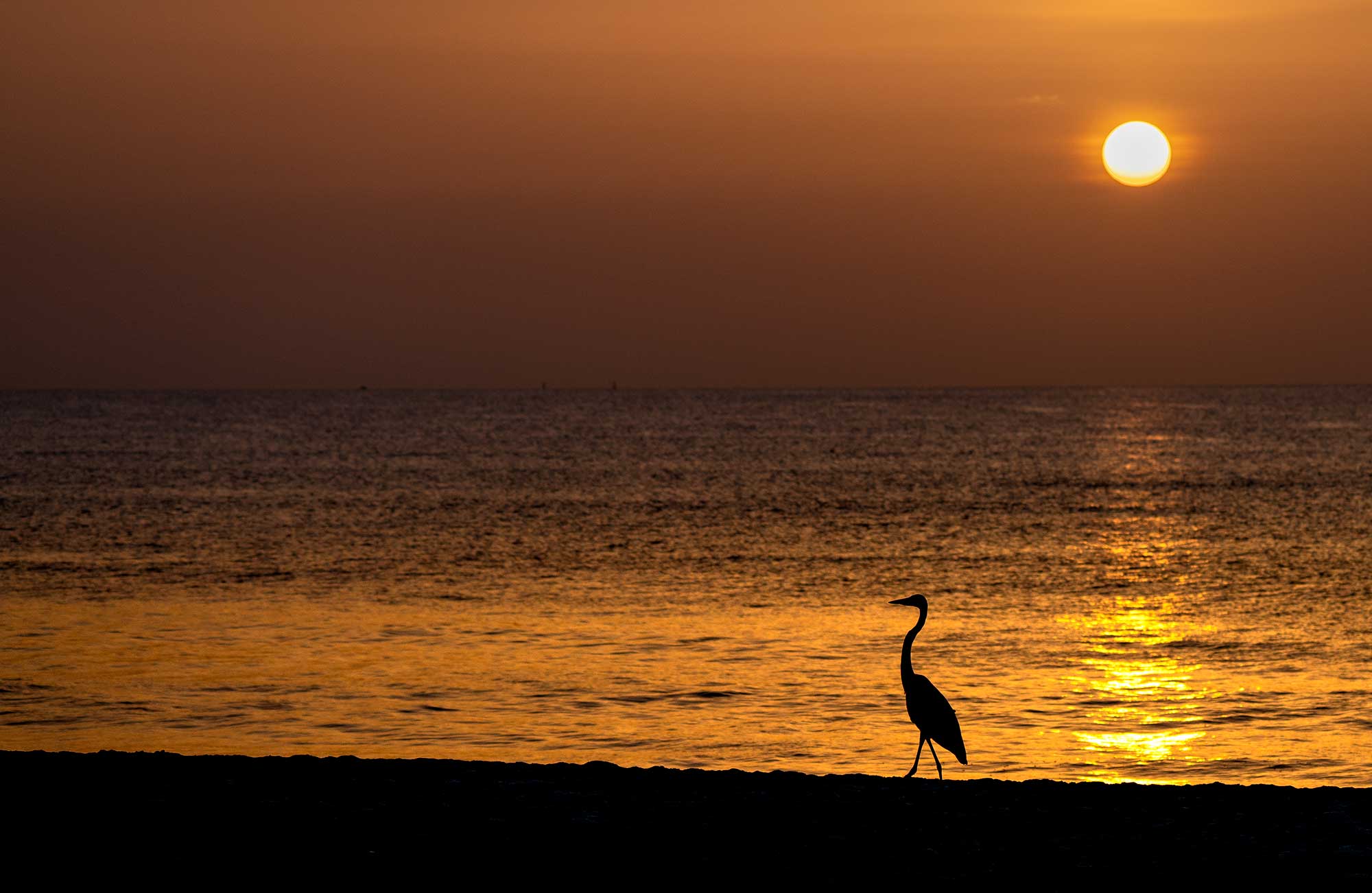 pier-sunrise-5-sm.jpg