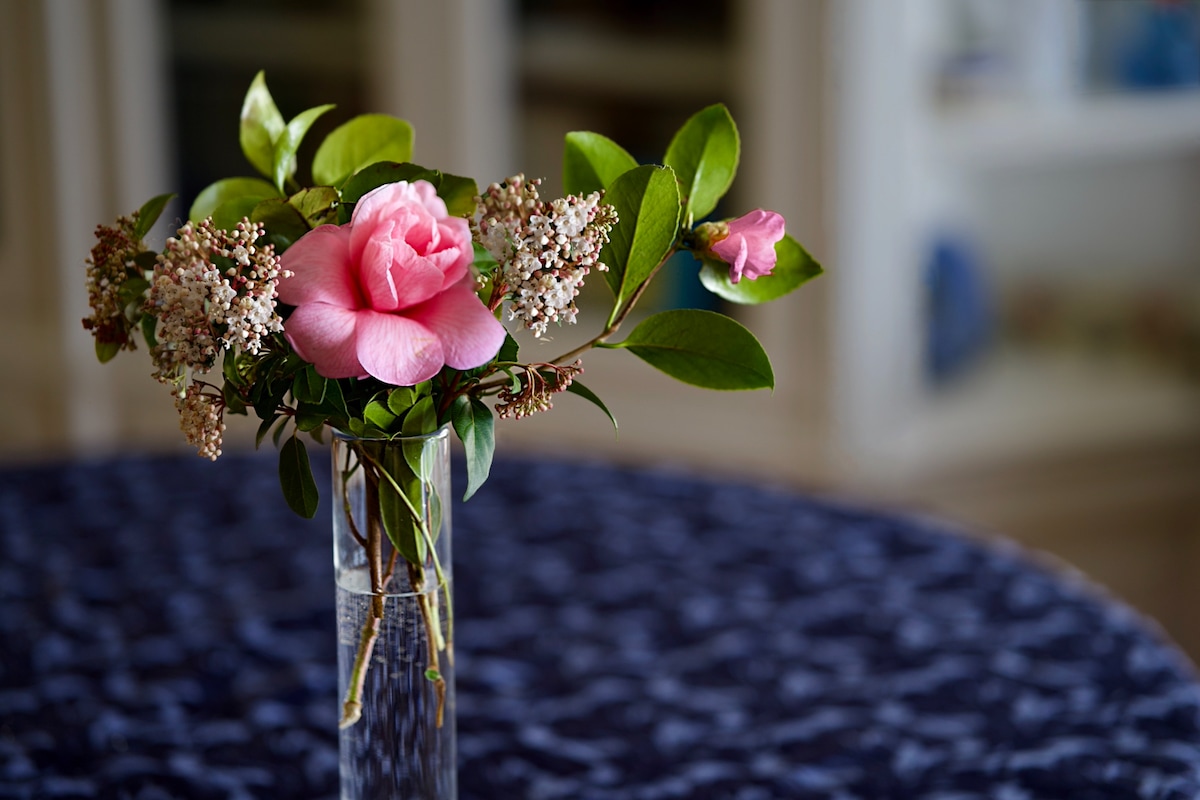 Pink Camelia vase.jpeg