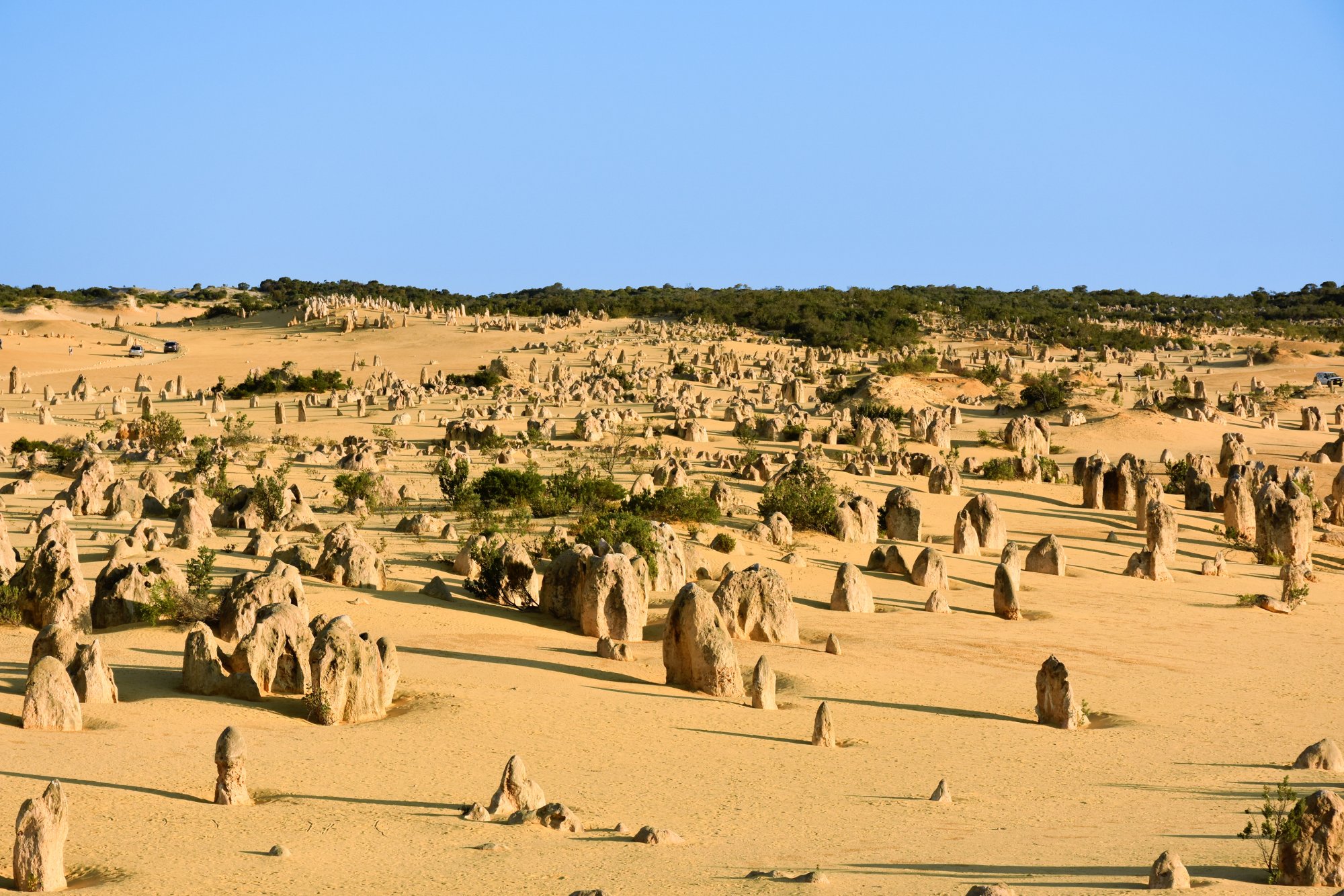 Pinnacles Desert.jpg