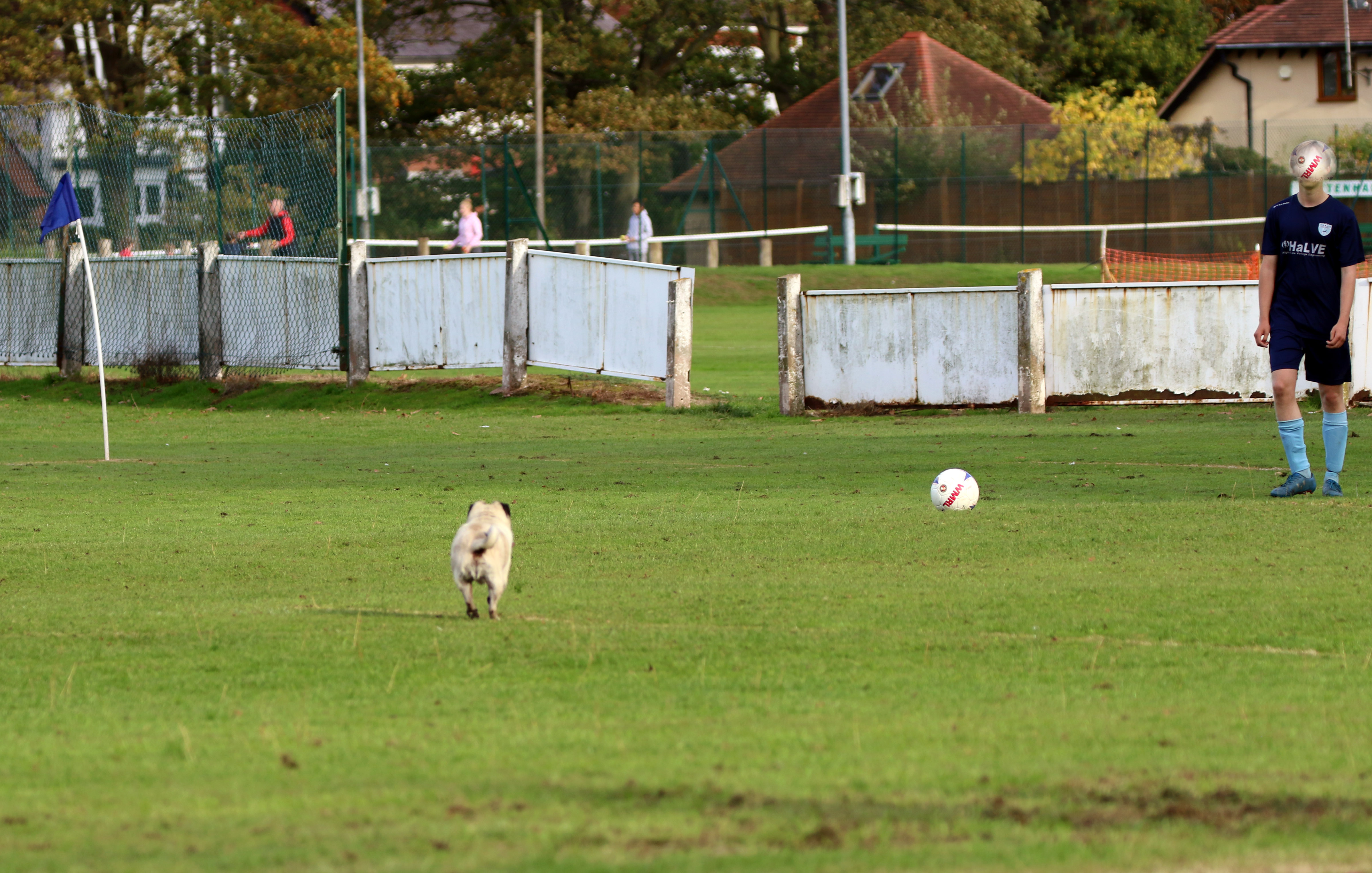 Pitch invasion.jpg