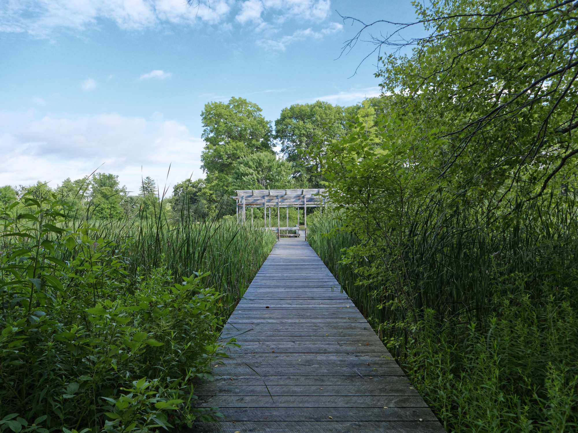 plantation pergola 2k.jpg