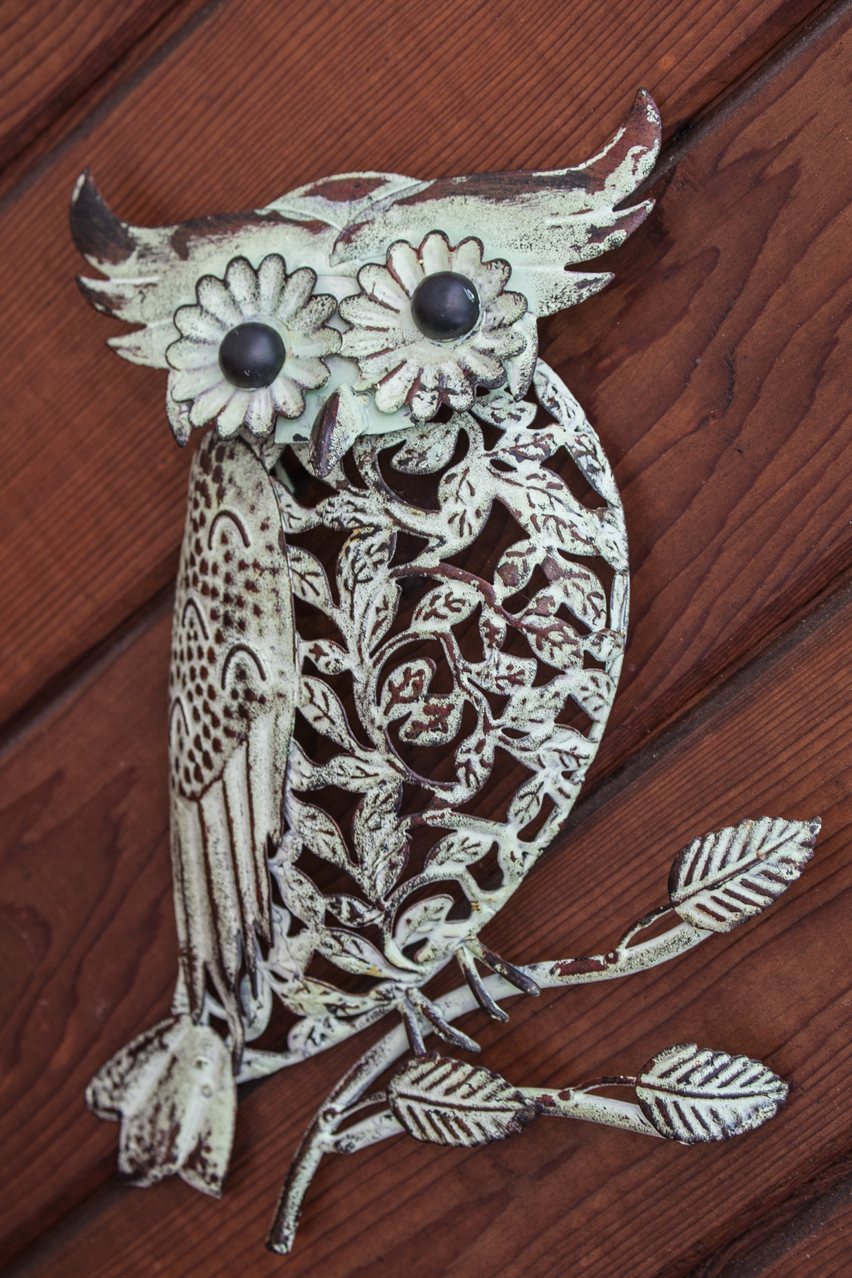 porch_owl (1 of 1).jpg