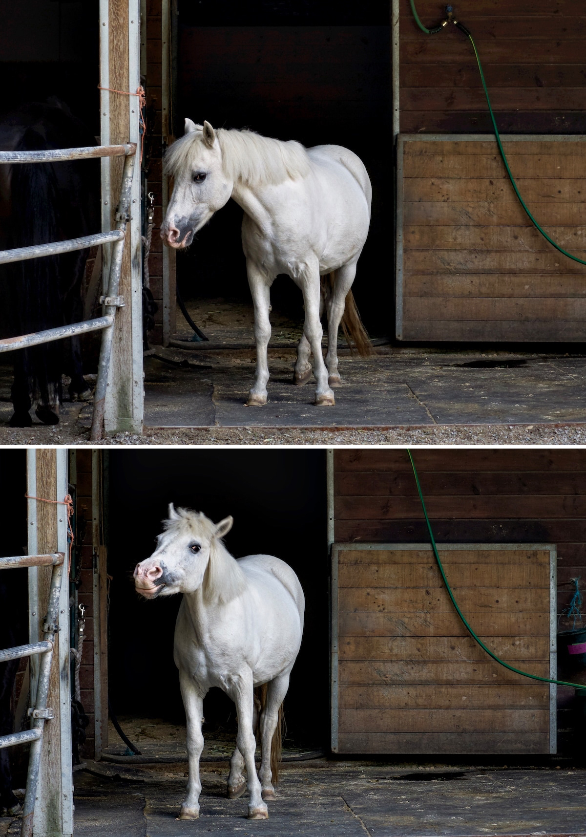 POTD Diptych July .jpg