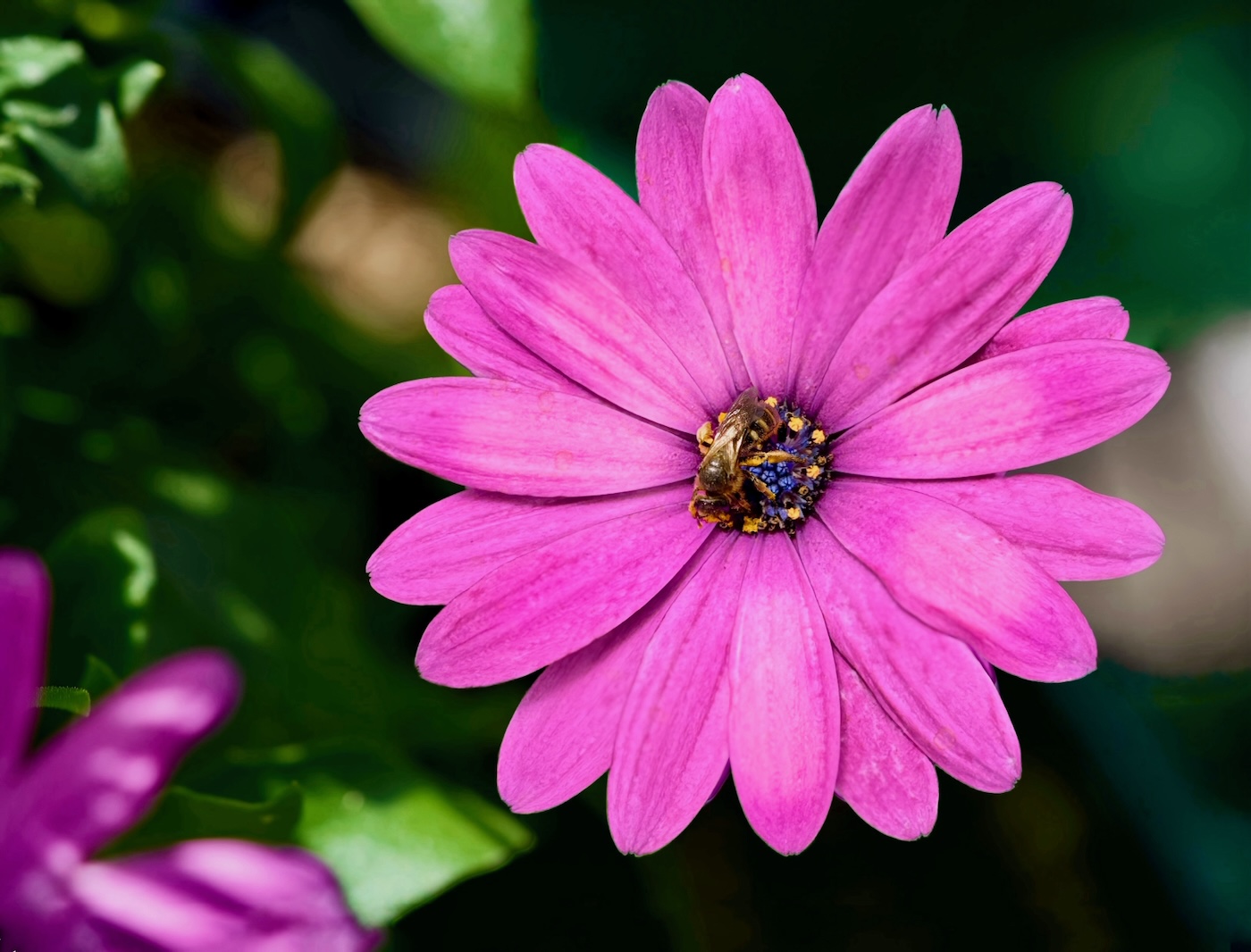 POTD July - 1_a 2.jpeg