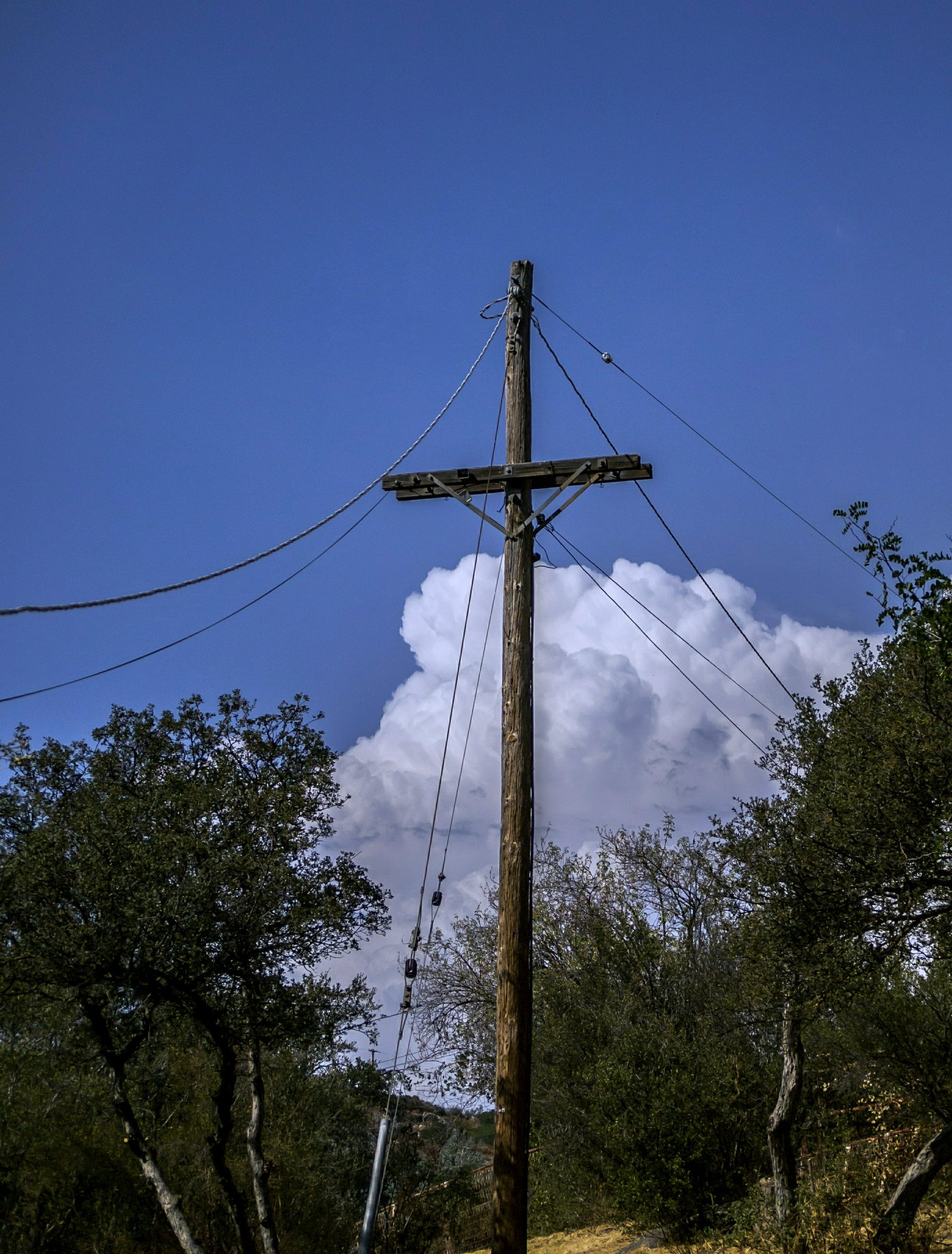 powerpole thunderhead x.jpg