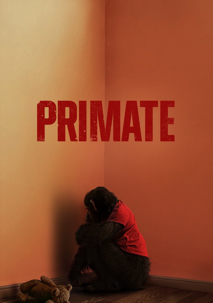 primate-2026-3374464797.jpg