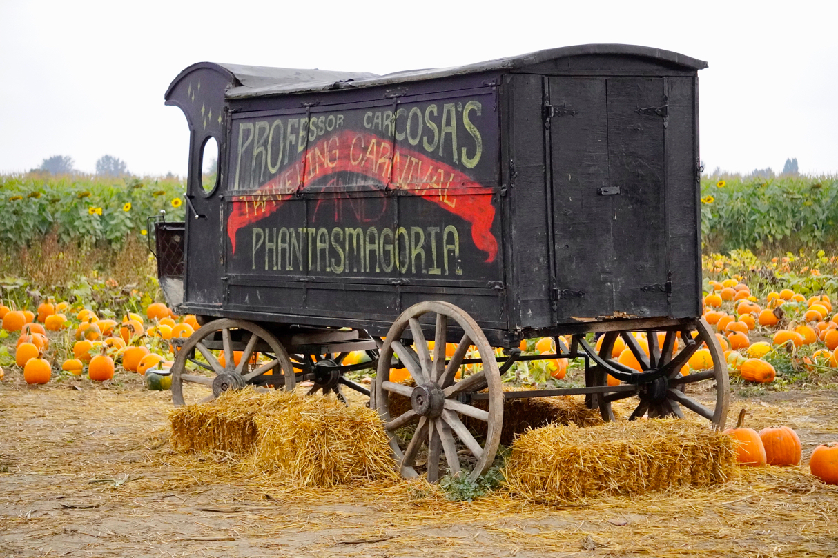 Pumpkin patch chariot.jpg