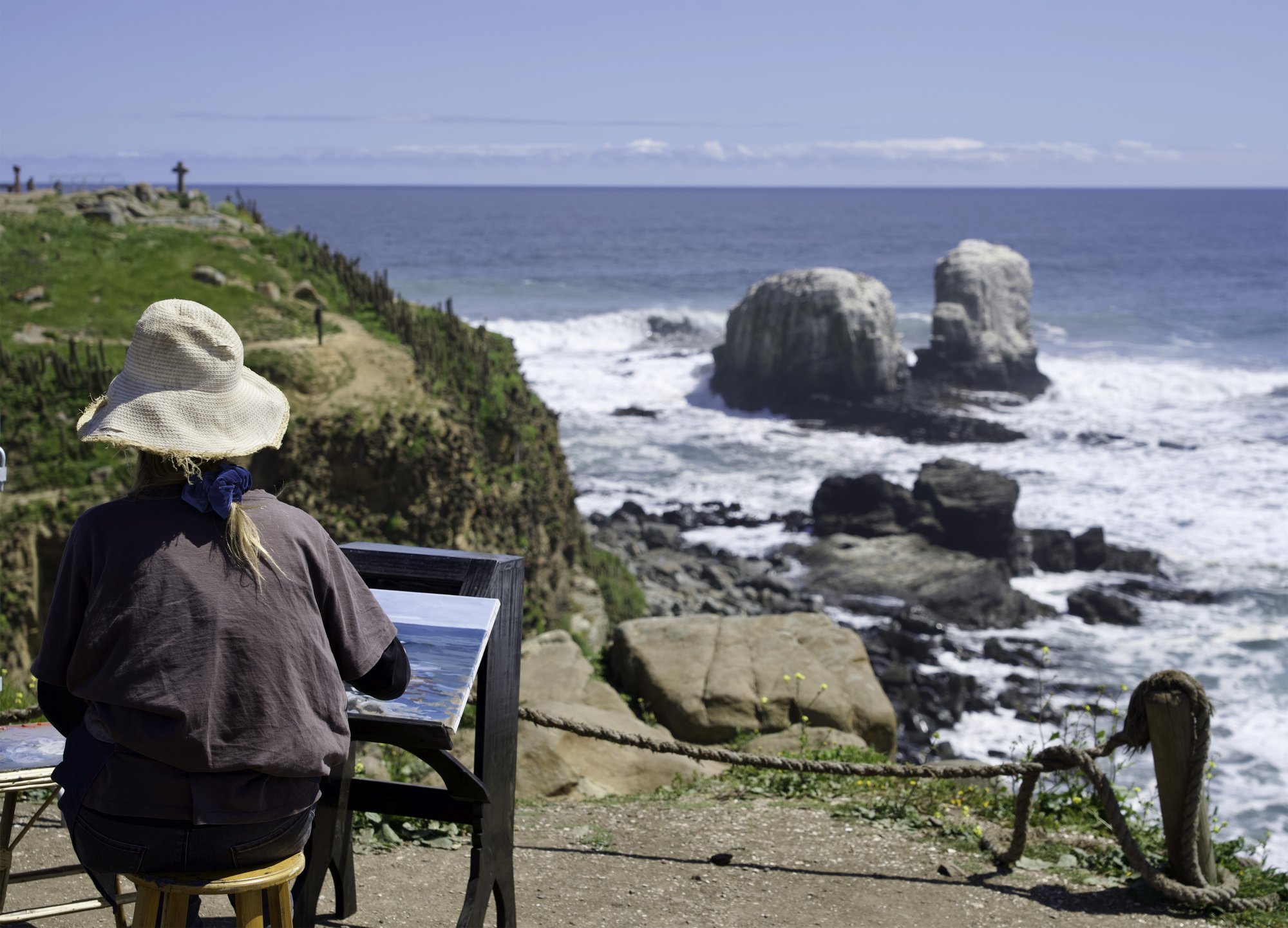 Punta De Lobos.jpg