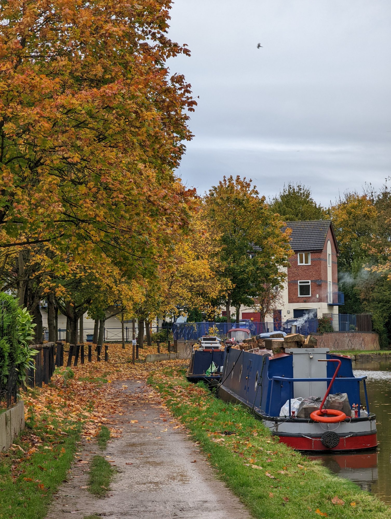 PXL_20211106_145034776.jpg
