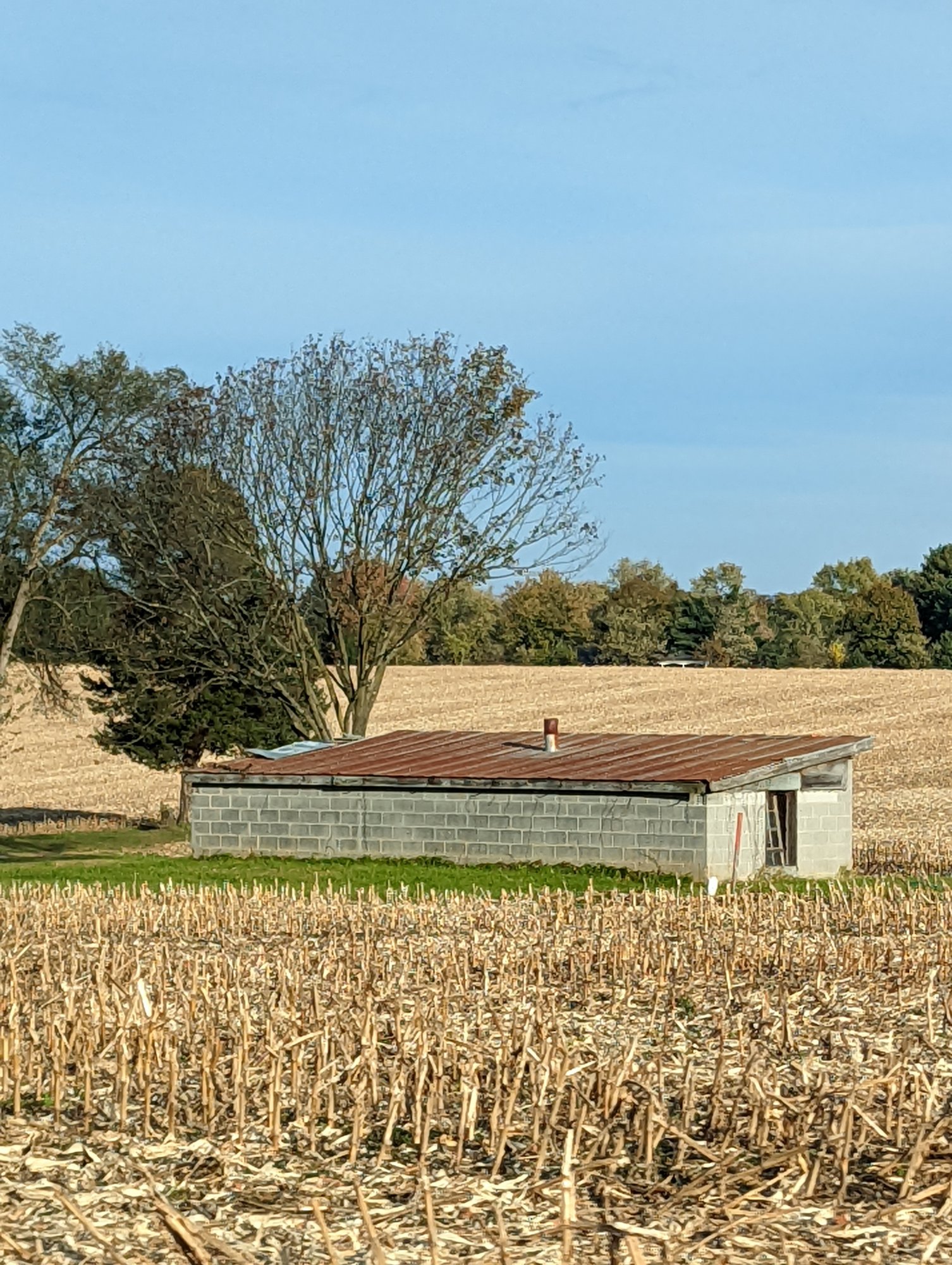 PXL_20211107_203353194.jpg