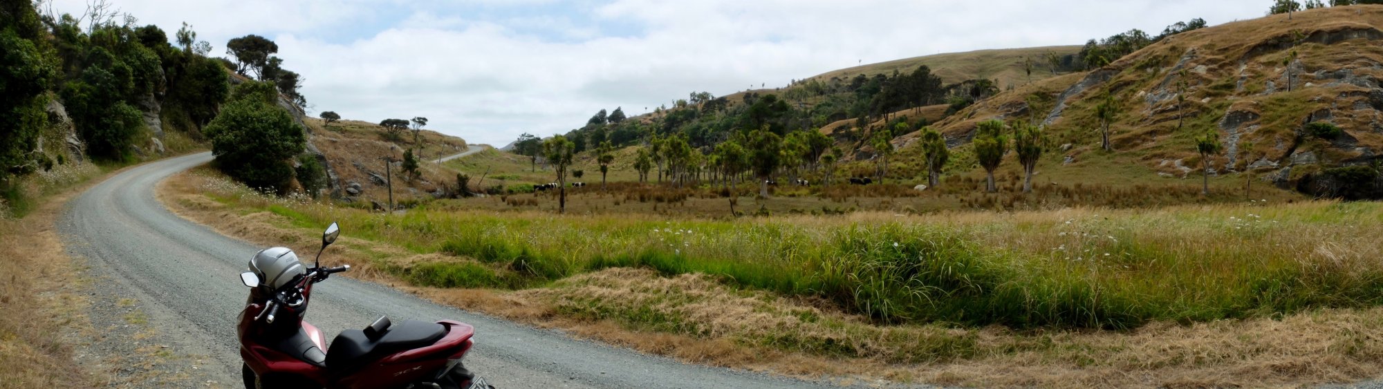 Raglan to Port Waikato - 2.jpg