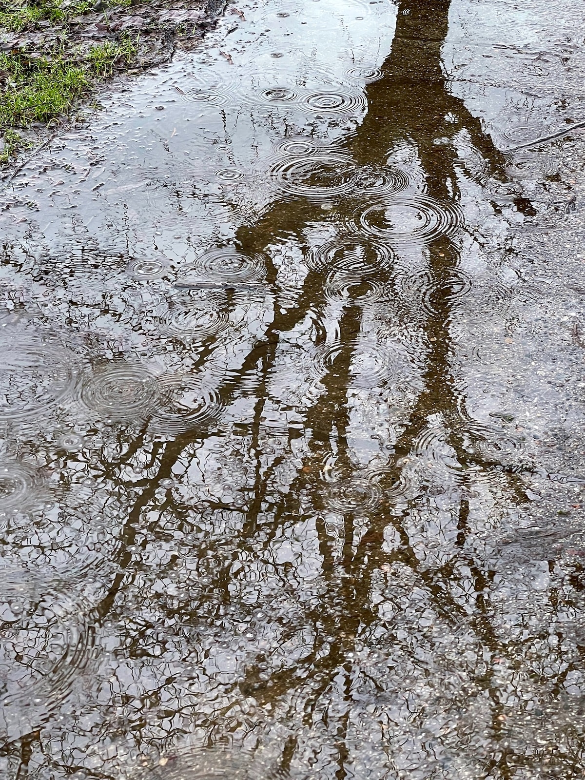 Rain drops puddle.jpeg