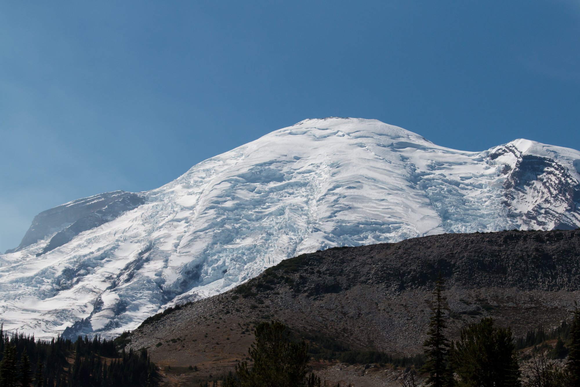 Rainier_IMG_1100.jpg