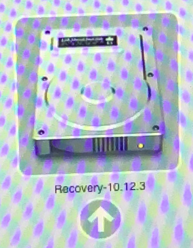 recovery10.12.3.png