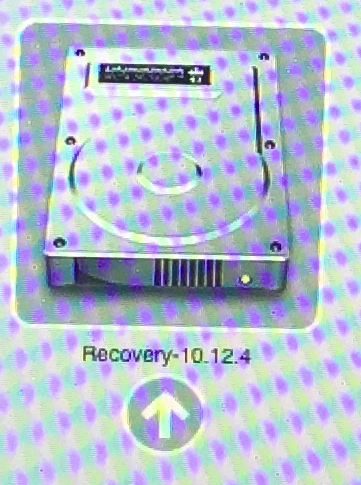 recovery10.12.4.png