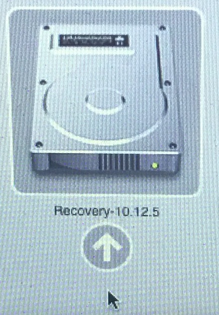 recovery10.12.5.jpg