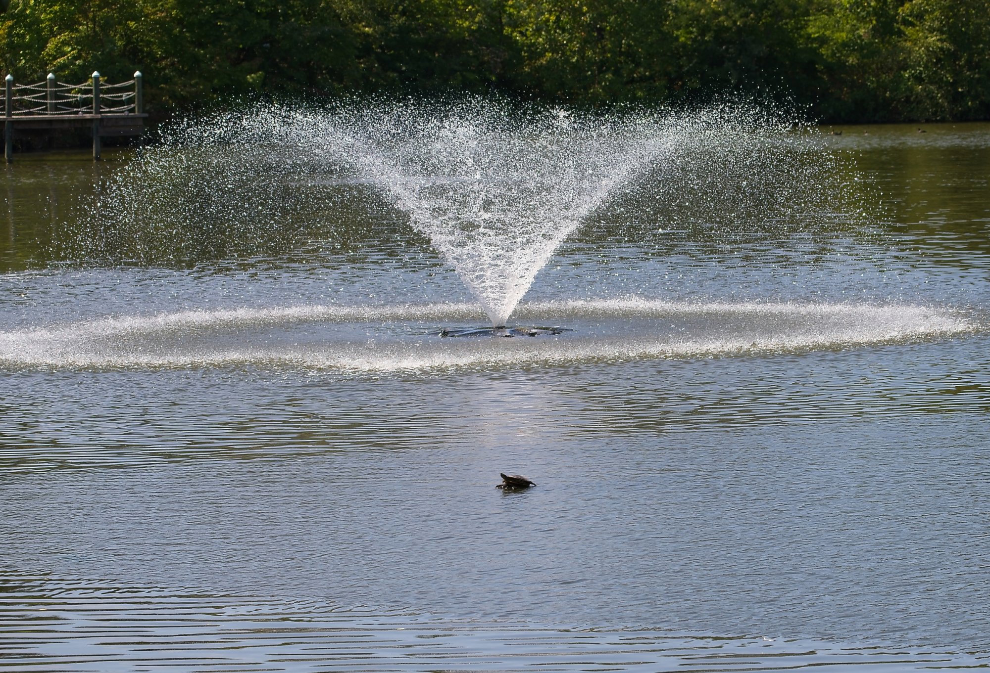 Relaxing With the Rhythm of the Fountain.jpeg