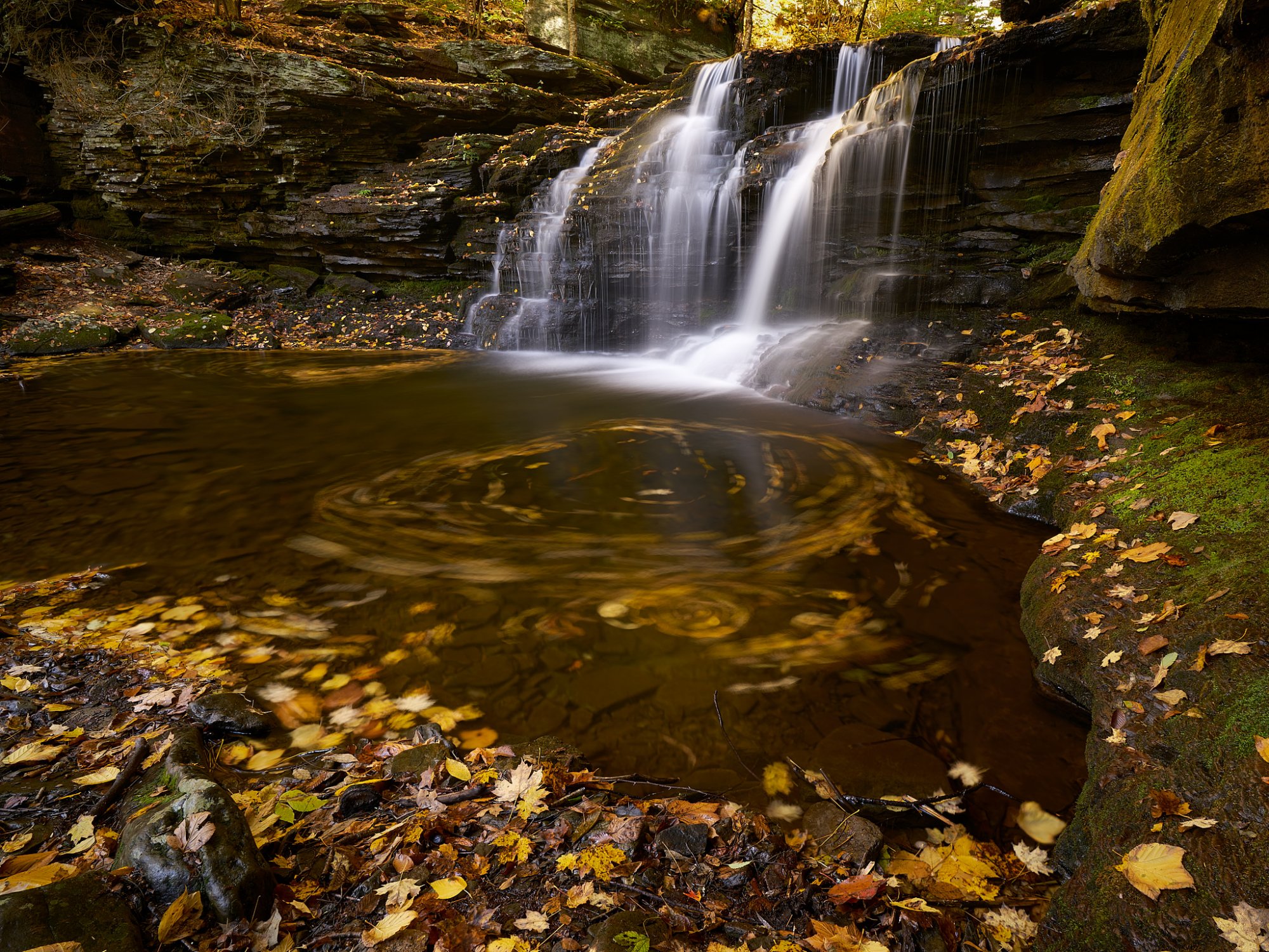 Ricketts Glen 1.jpg