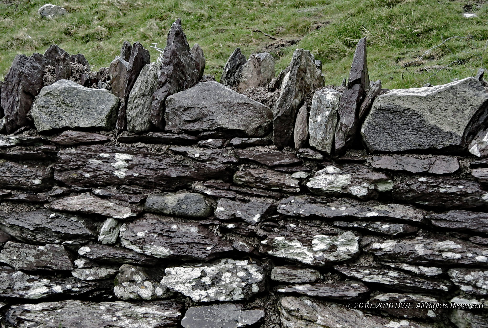 Rock-Fence,-Dingle.jpg