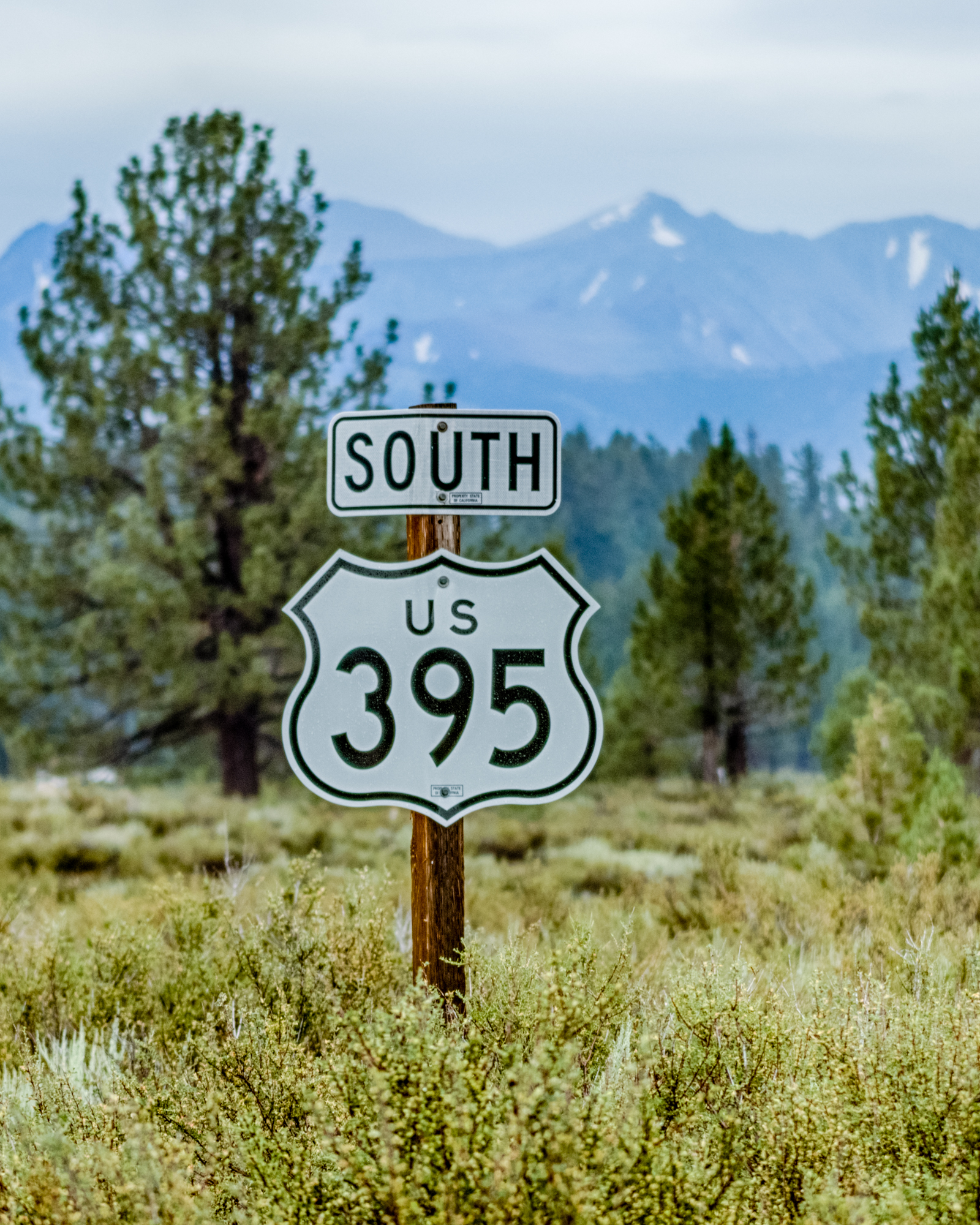 Route 395-1.jpg